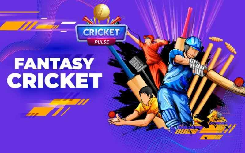 fantasy cricket pulse