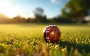 cricket world cup 2023